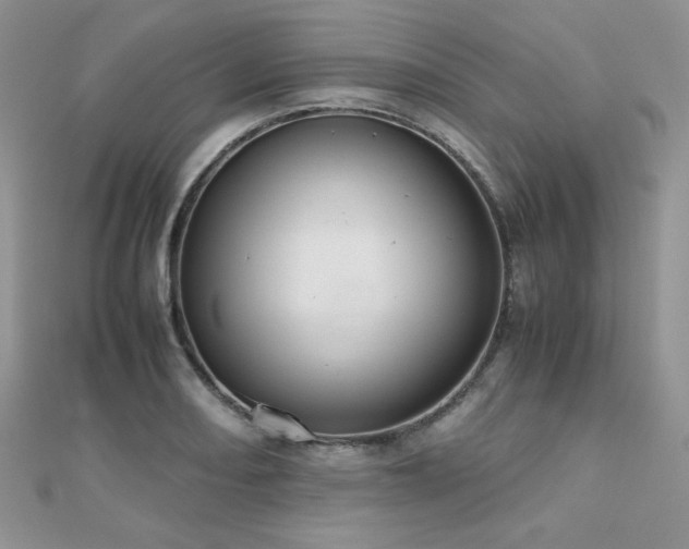 X0000112531082200908171416