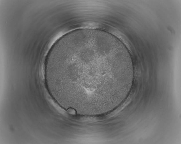 X0000112531083200908171416