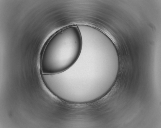 X0000112531084200908171416