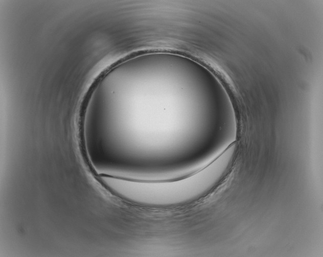 X0000112531085200908171416
