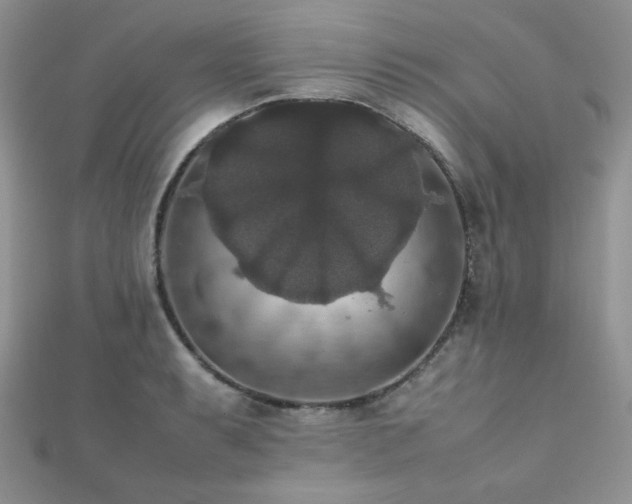 X0000112531087200908171416
