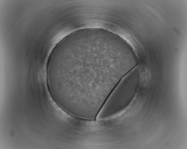 X0000112531088200908171416