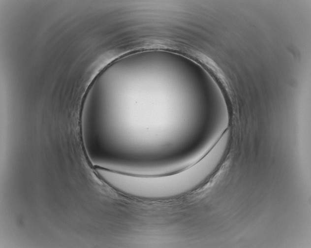 X0000112531089200908171416