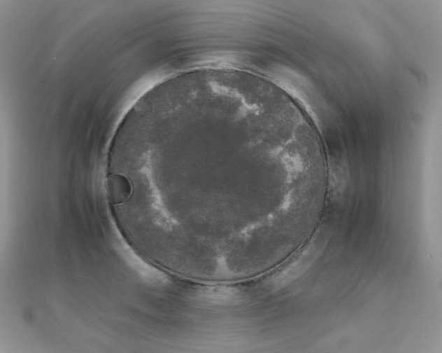 X0000112531090200908171415