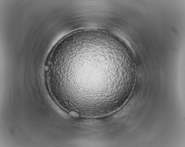 X0000112531091200908171415