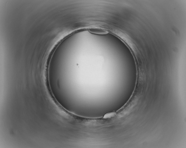 X0000112531093200908171415