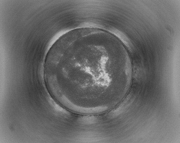 X0000112531094200908171415