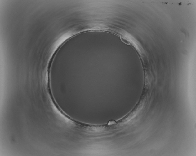 X0000112531095200908171415