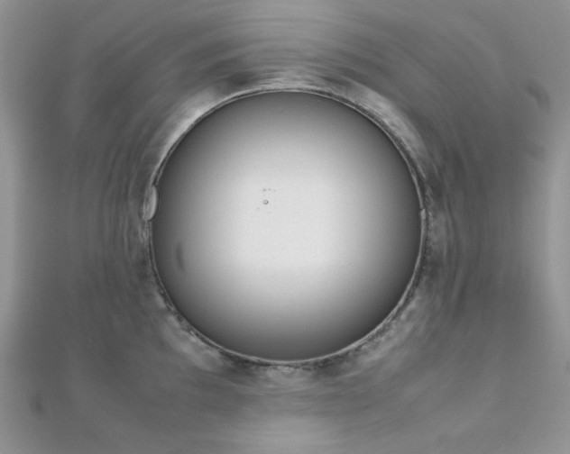 X0000112531097200908171415