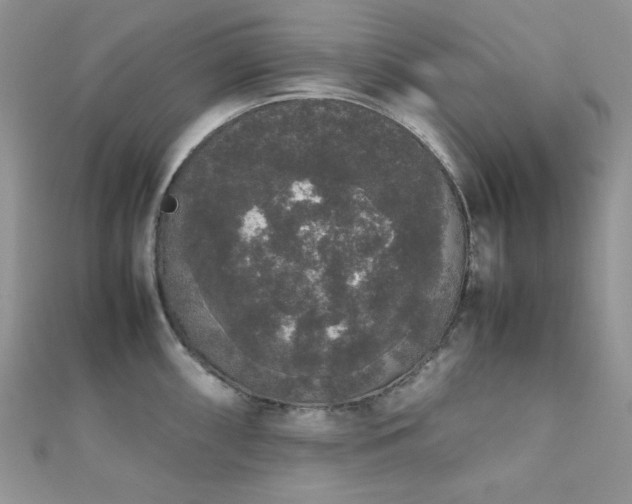X0000112531098200908171415