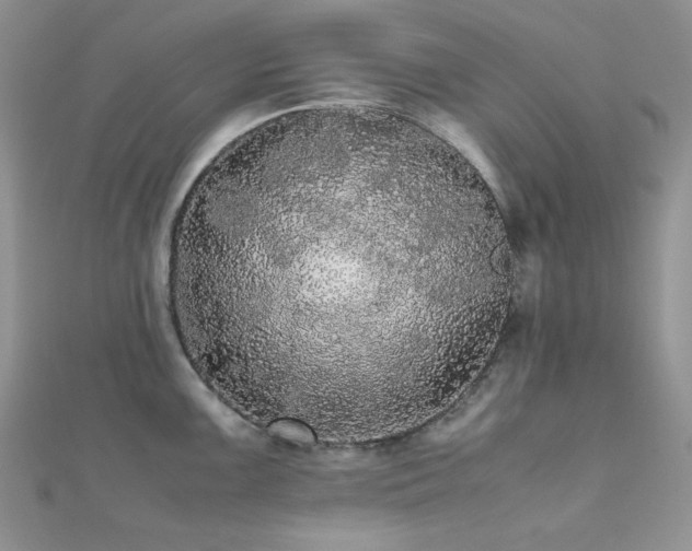 X0000112531099200908171415