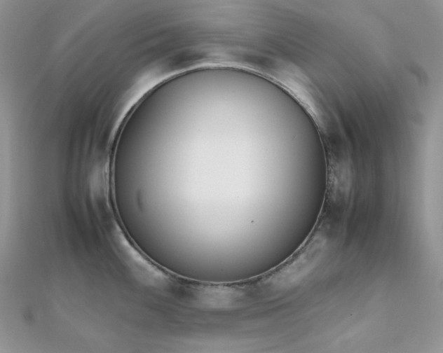 X0000112531100200908171415