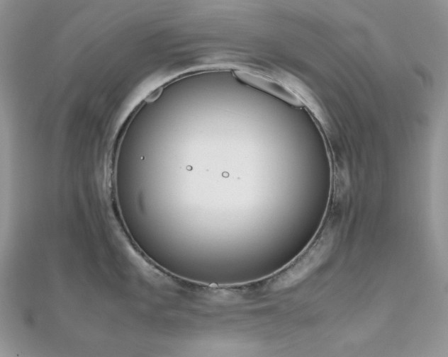 X0000112531101200908171415