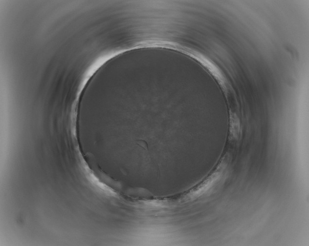 X0000112531102200908171415