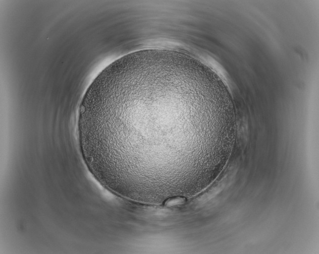 X0000112531103200908171415