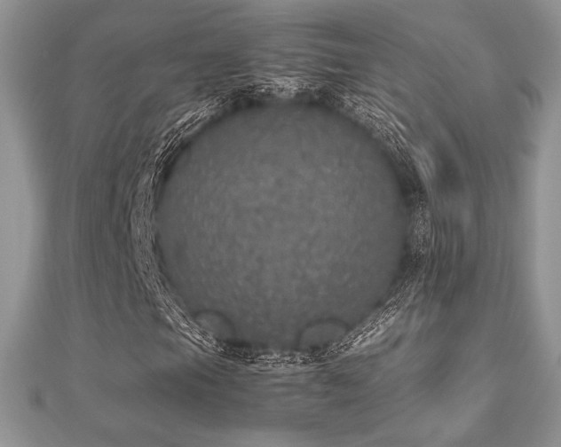 X0000112531105200908171415
