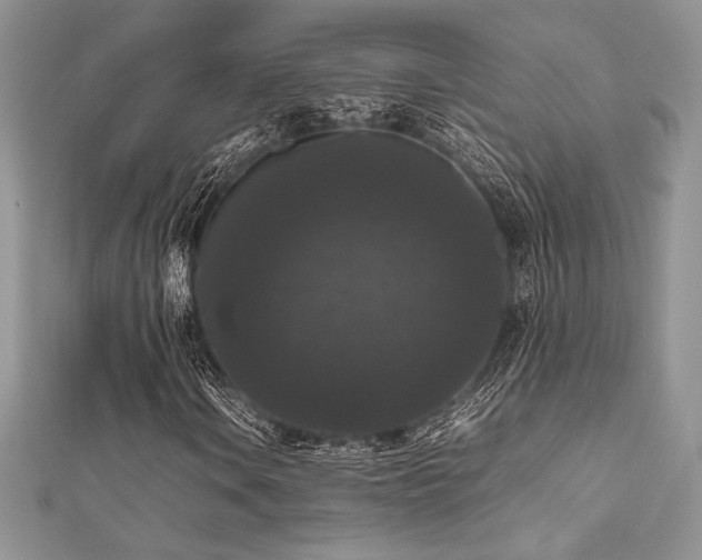 X0000112531106200908171415