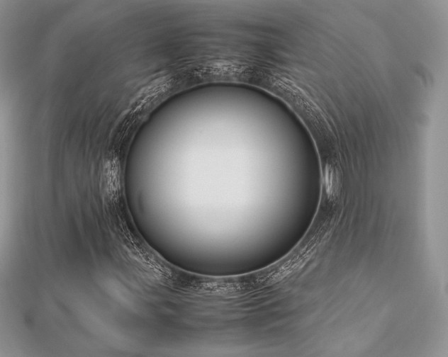 X0000112531107200908171415