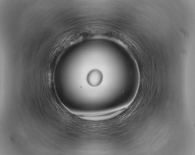 X0000112531108200908171415