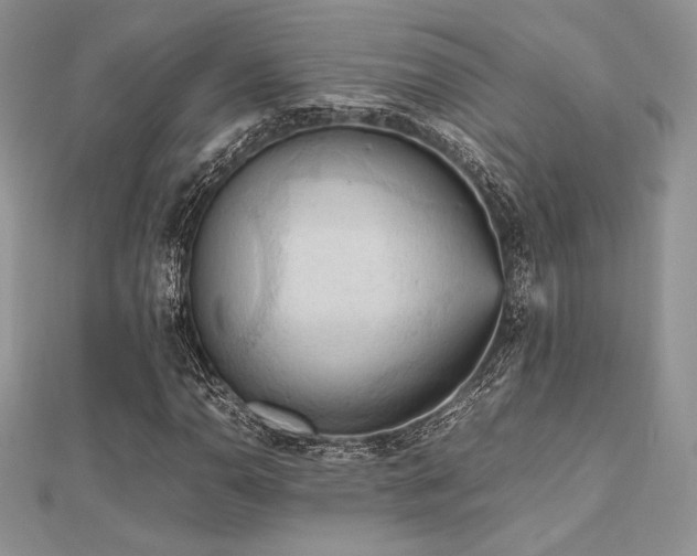X0000112531110200908171415
