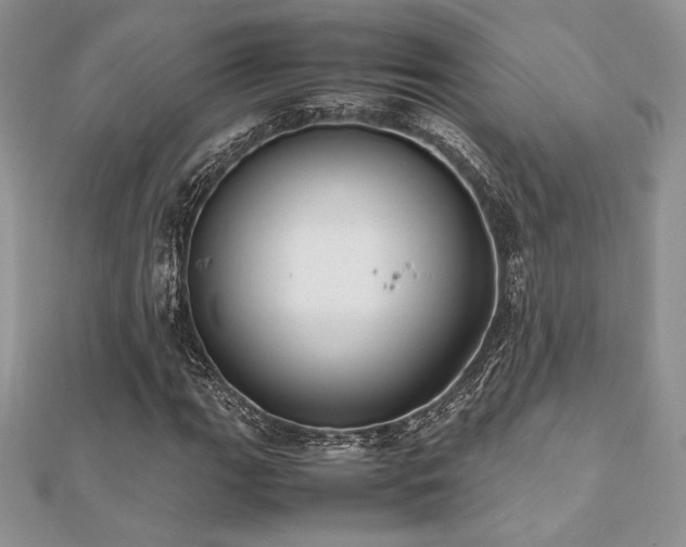 X0000112531111200908171415