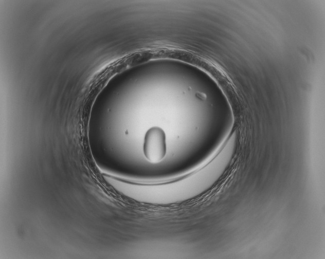 X0000112531112200908171415