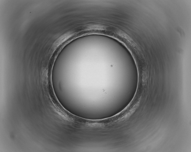 X0000112531113200908171415