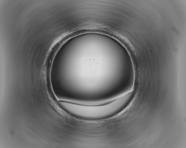 X0000112531114200908171415