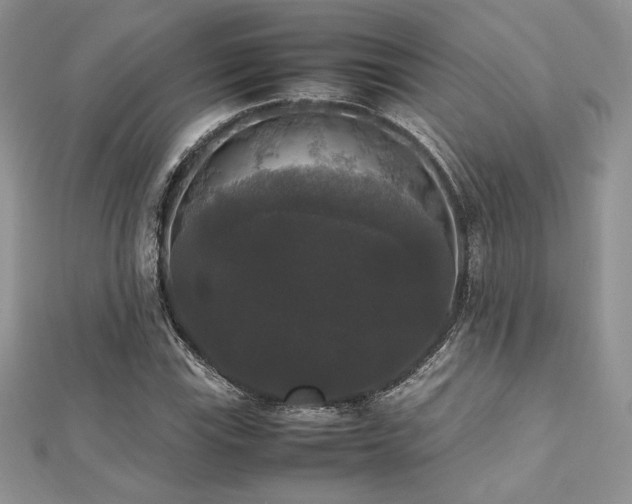 X0000112531115200908171415