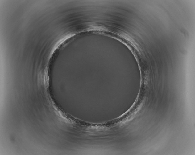 X0000112531117200908171415