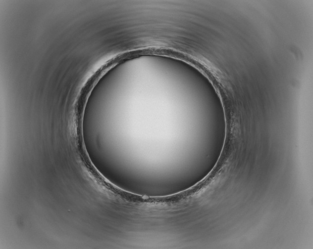 X0000112531118200908171415