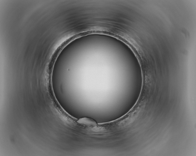 X0000112531119200908171415