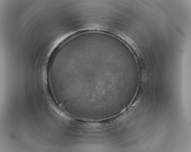 X0000112531120200908171415