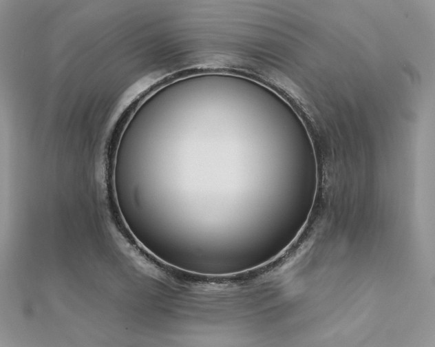 X0000112531122200908171415