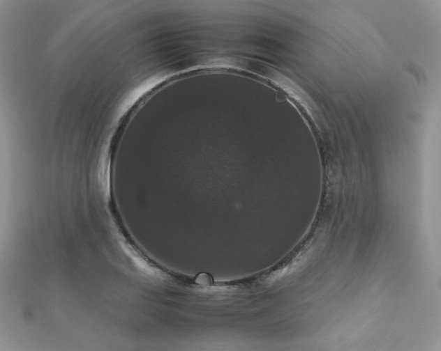 X0000112531127200908171415