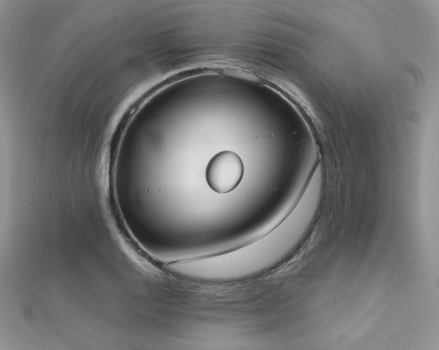 X0000112531128200908171415