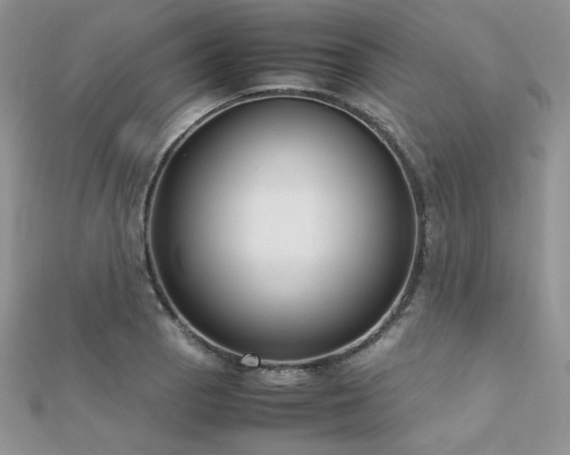X0000112531129200908171415