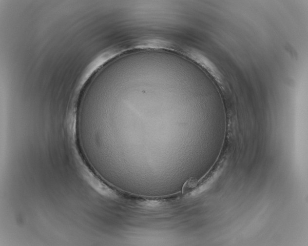 X0000112531130200908171415