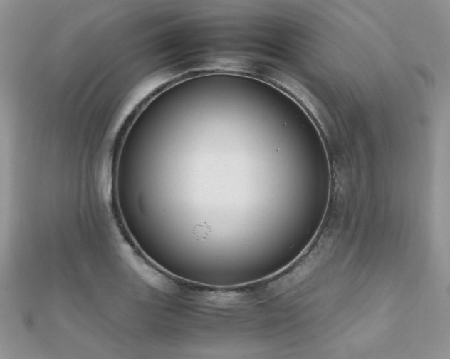 X0000112531131200908171415