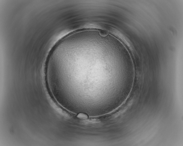 X0000112531133200908171415
