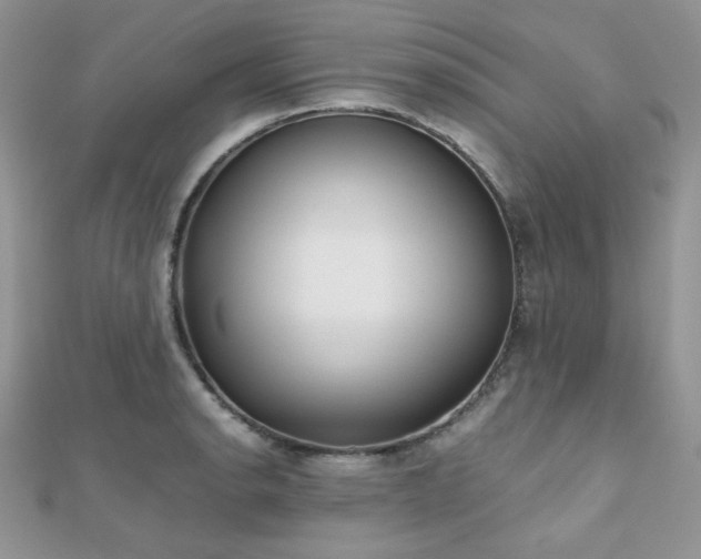 X0000112531134200908171415