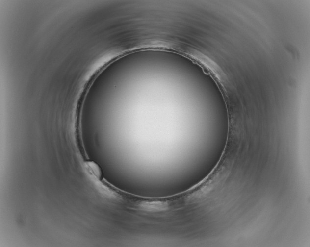 X0000112531135200908171415