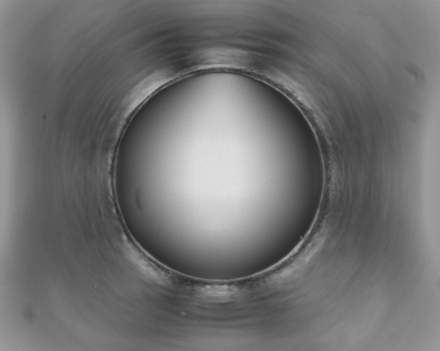 X0000112531137200908171415
