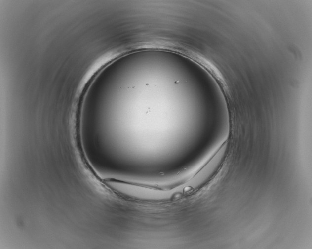 X0000112531138200908171415