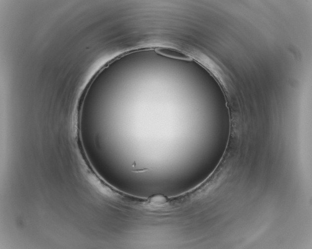 X0000112531140200908171415