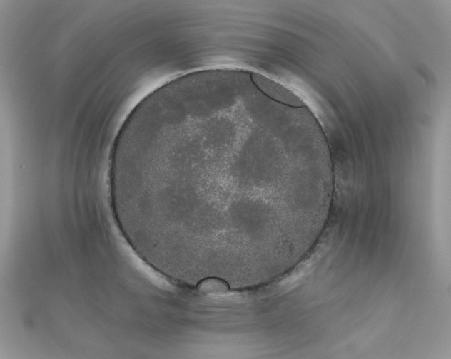 X0000112531142200908171415
