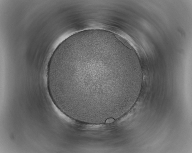 X0000112531143200908171415