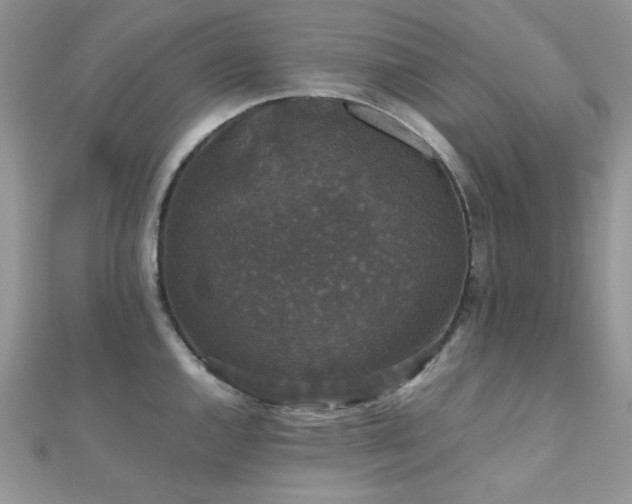 X0000112531144200908171415