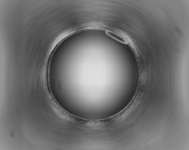 X0000112531146200908171415