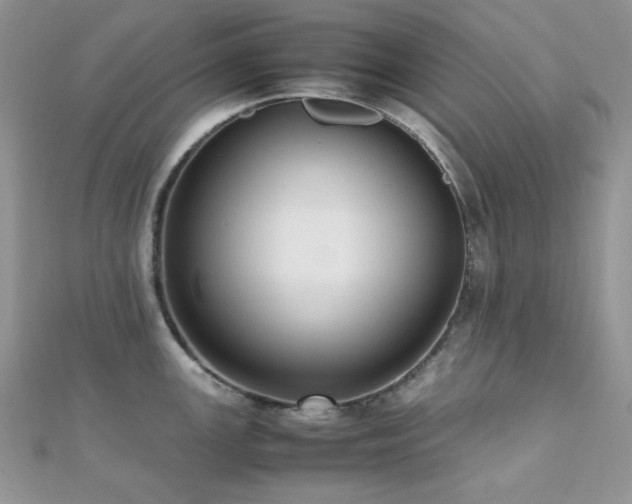 X0000112531147200908171415